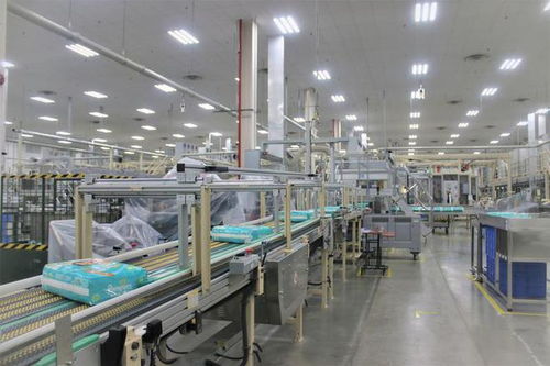 湖北高新技術產業與家政服務創新比翼齊飛，引領區域高質量發展